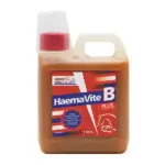 مکمل مایع آهن و ویتامین برای انرژی و سلامت خون Haemavite B Plus یک لیتری